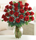 24 Premium Roses - You Choose Color from Clermont Florist & Wine Shop, flower shop in Clermont